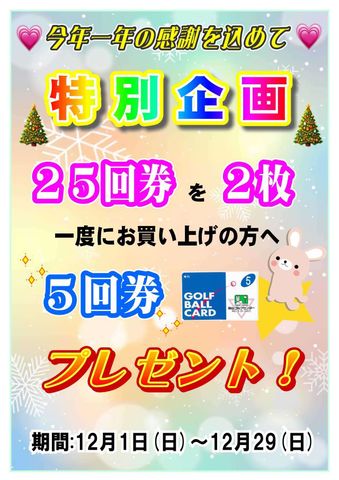 ✰12月特別企画のご案内✰