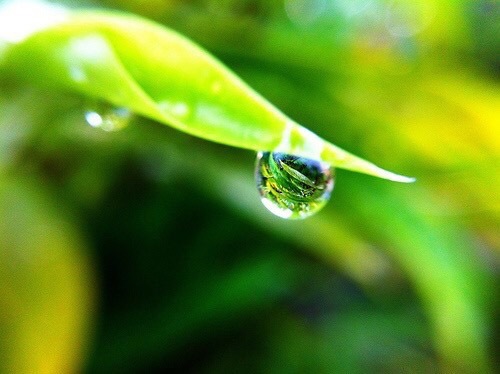 ●もうすぐ梅雨です。